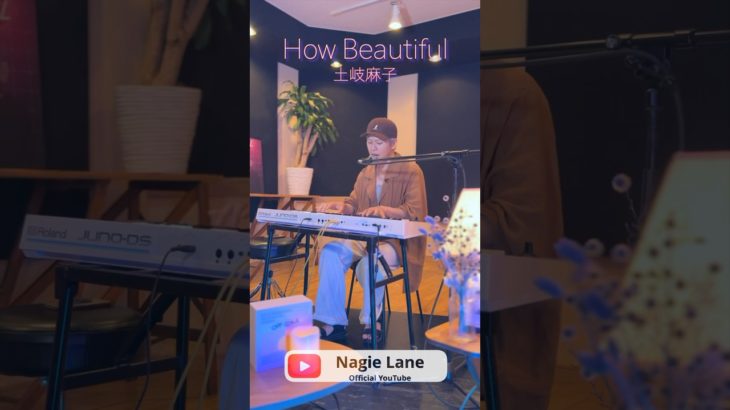 How Beautiful covered by Nagie Lane #shorts #楽器が買えたナギーレーン #土岐麻子